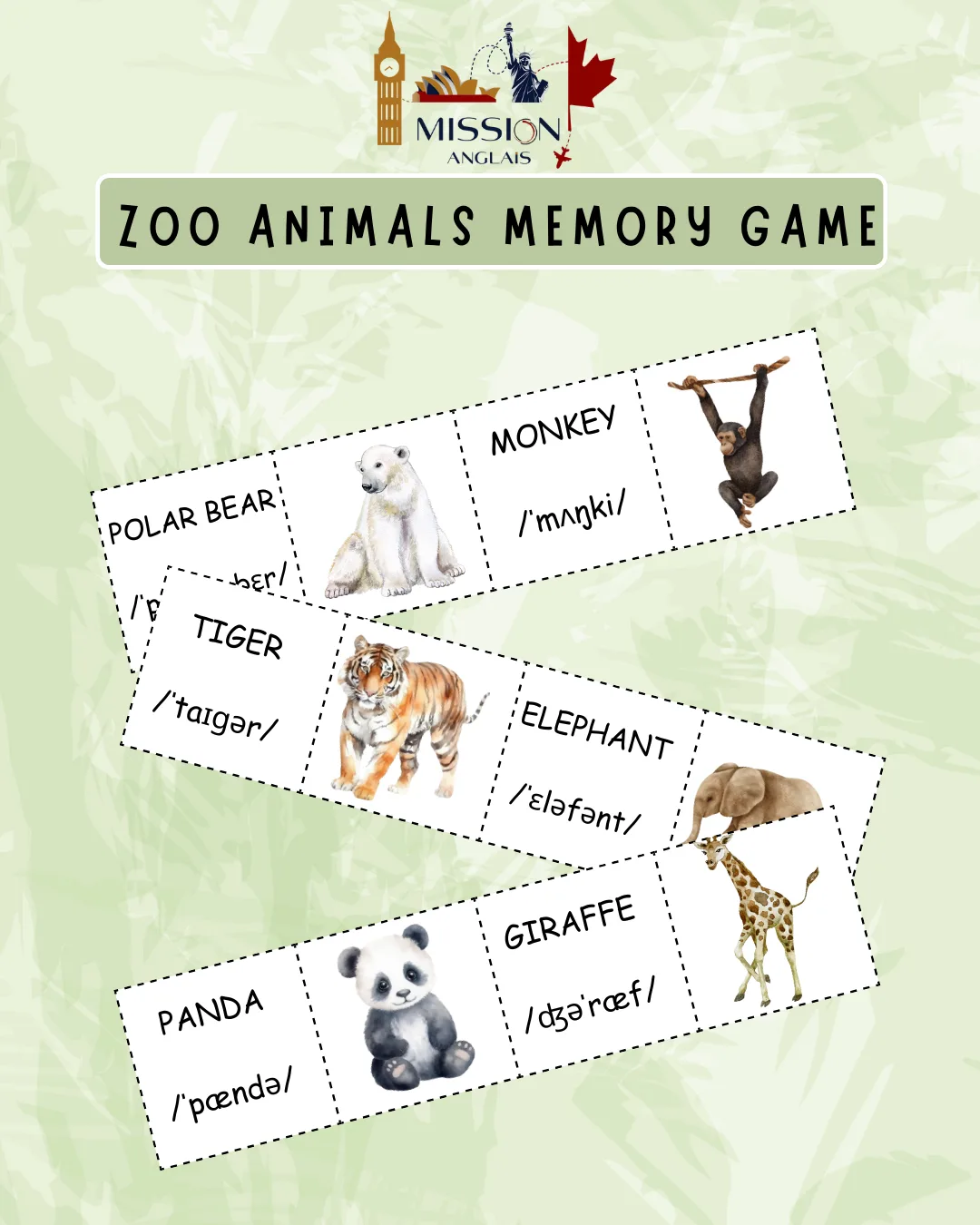 memory animaux zoo